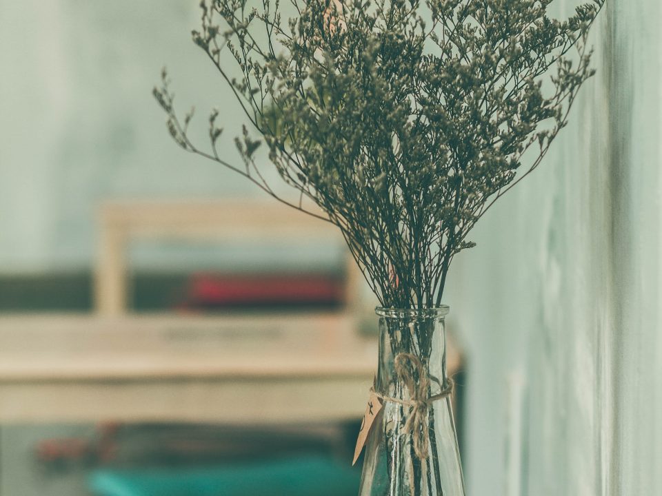 癒し効果抜群!お花と向き合う“週末の30分”とは?